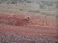 D9T Harvesting Top Soil 